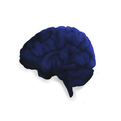 brain